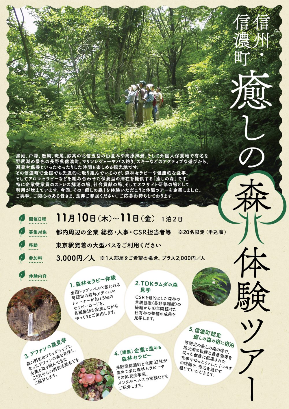 iyashinomoriA_omoteol