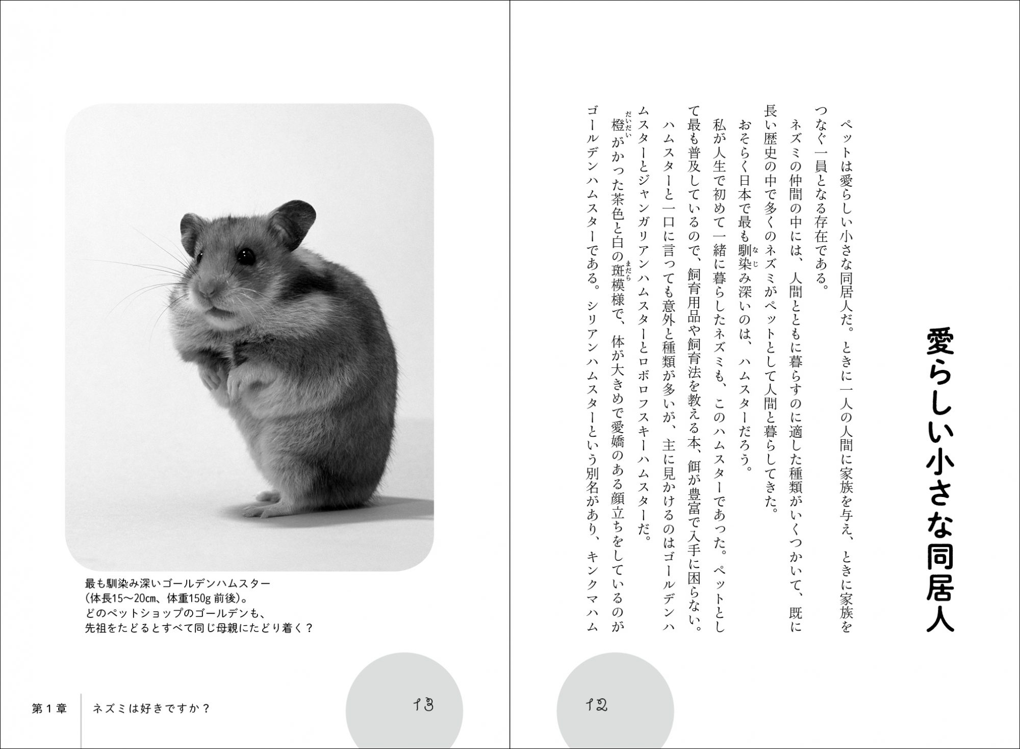 04_ネズミのおしえ本文1