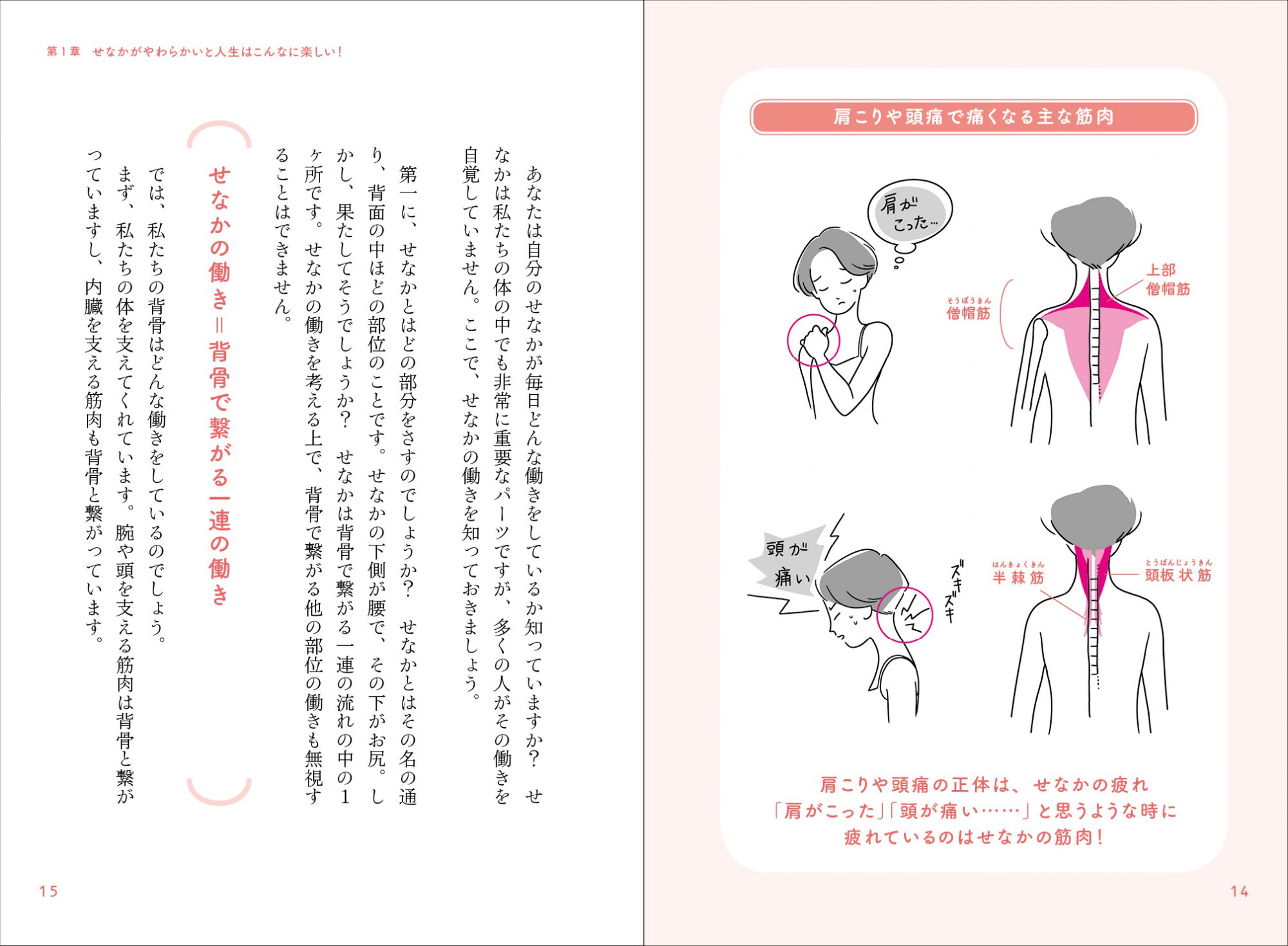 やわらかせなか_03